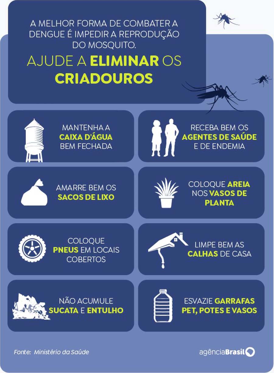 A melhor forma de combater a dengue é impedir a reprodução do mosquito (Arte/EBC)